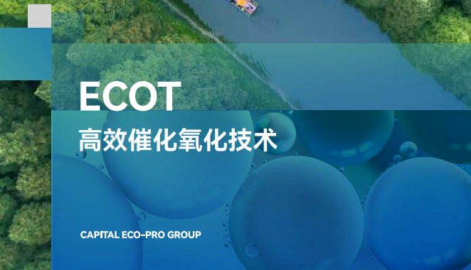 ECOT高效催化氧化技術